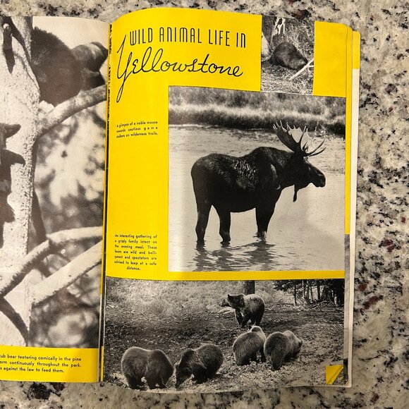 ASTONISHING YELLOWSTONE 1940 vintage railroad pamphlet - Picture 4 of 7